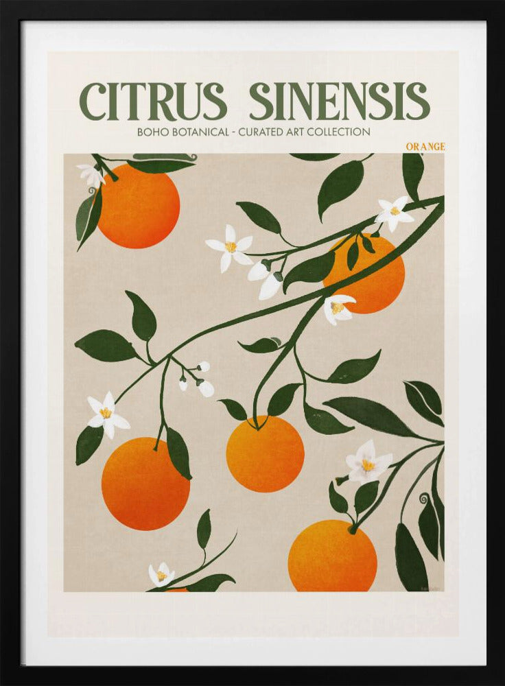 Oranje Elegantie | Poster