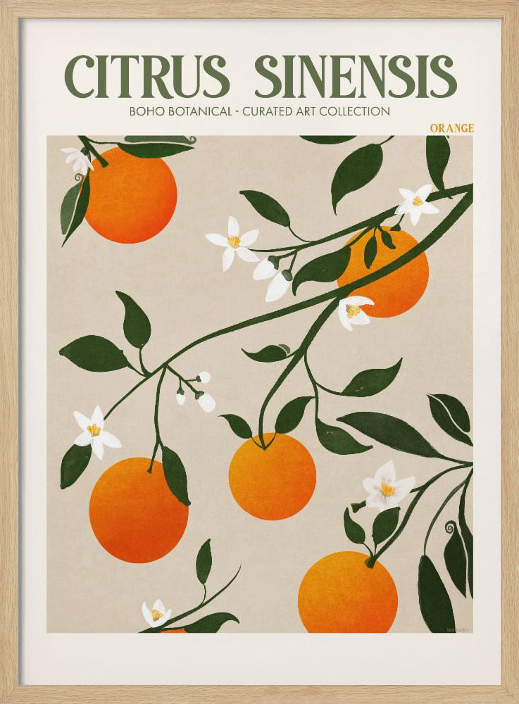 Oranje Elegantie | Poster