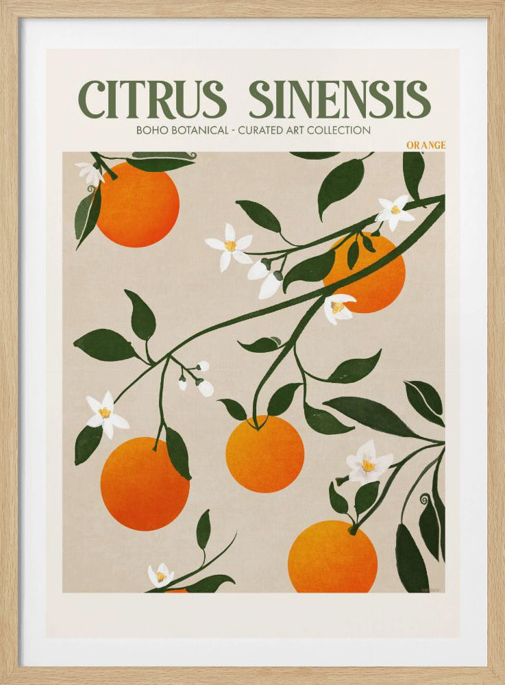 Oranje Elegantie | Poster