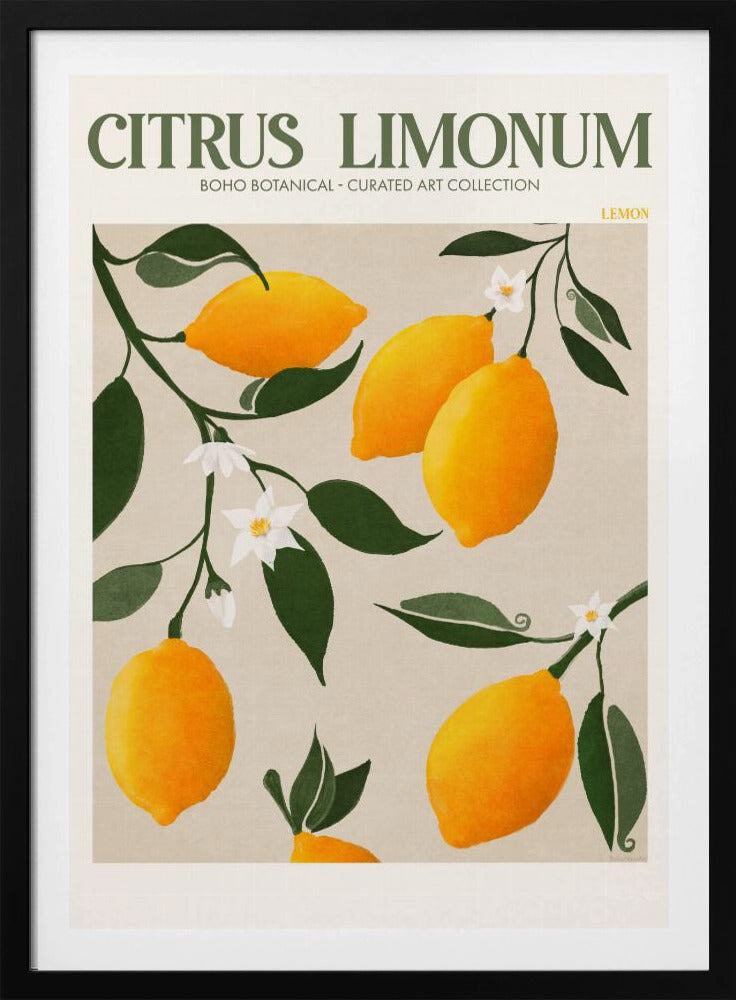 Gouden Citrus Delight | Poster