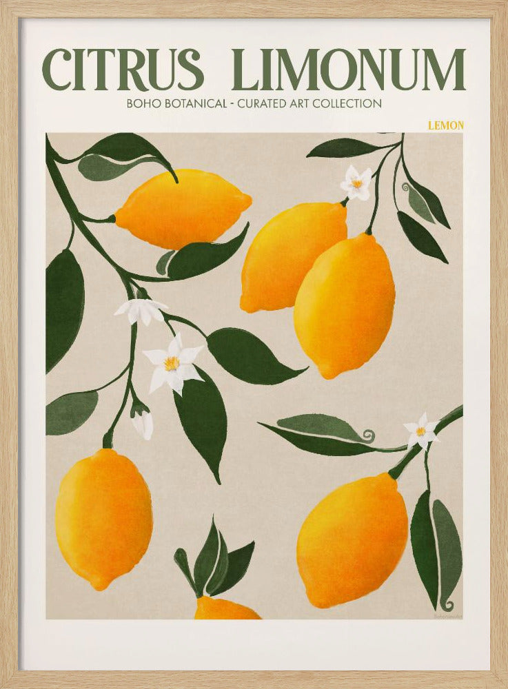 Gouden Citrus Delight | Poster