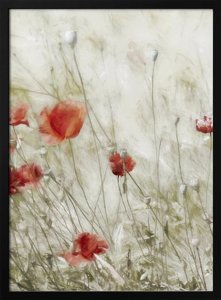 Corn Rose | Poster
