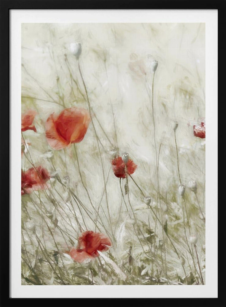 Corn Rose | Poster