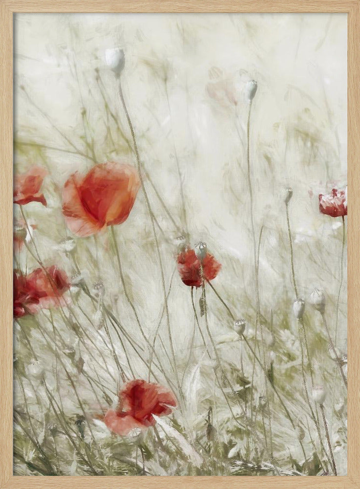 Corn Rose | Poster