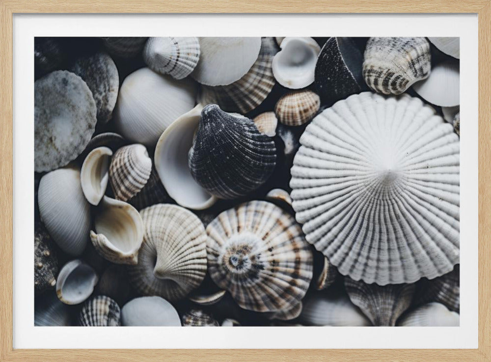 Shell Symfonie | Poster