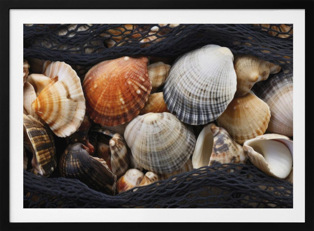 Schelpenwandtapijt | Poster
