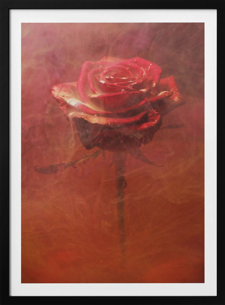 rode roos en inkt in water | Poster