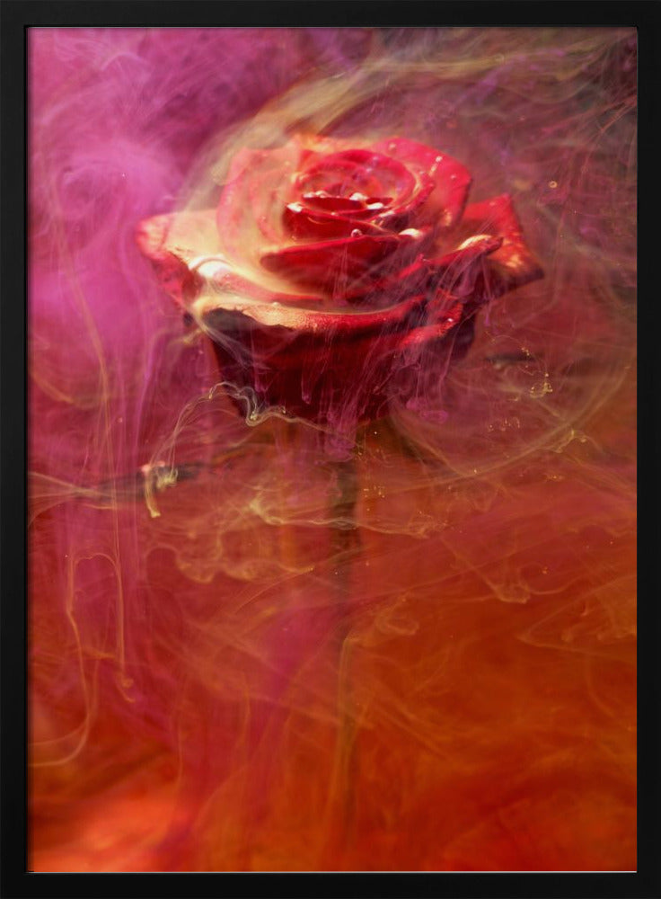 rode roos en inkt in water | Poster