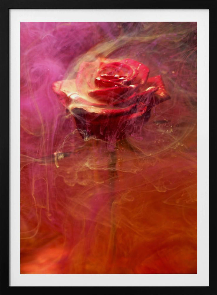rode roos en inkt in water | Poster