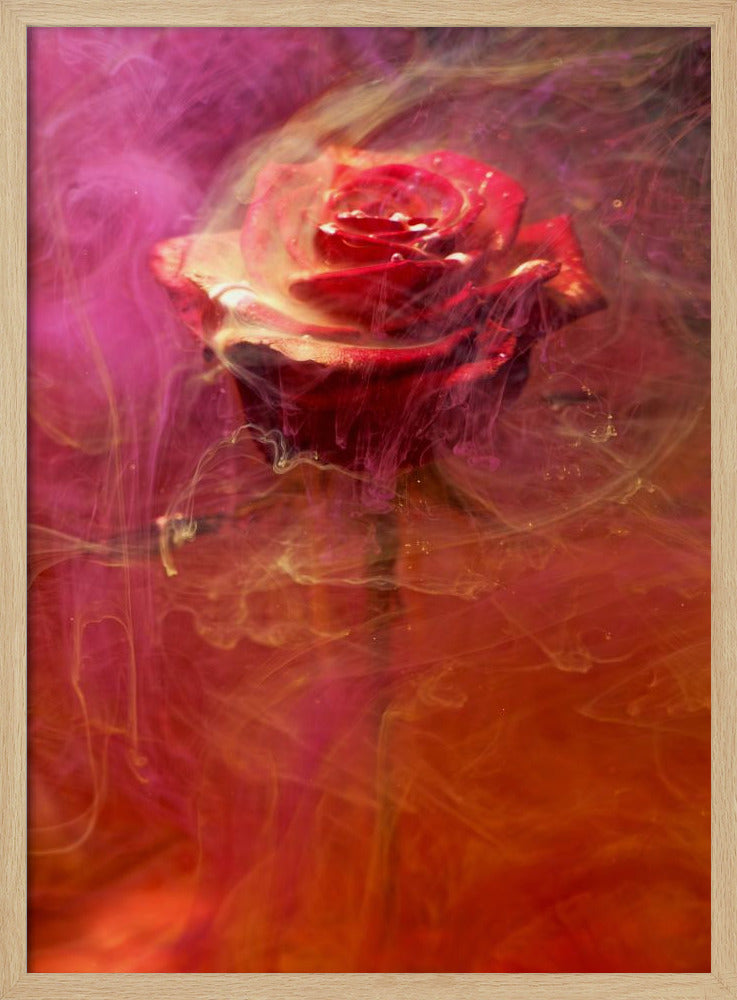 rode roos en inkt in water | Poster