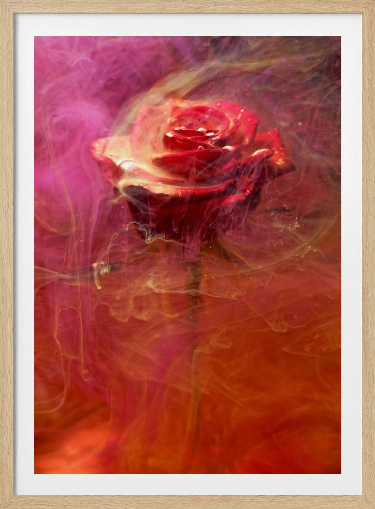 rode roos en inkt in water | Poster