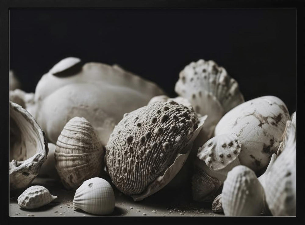 Shell Symphony | Poster
