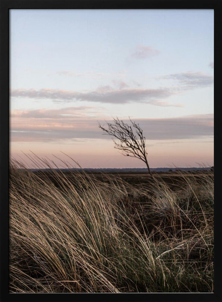 At the Coast 4 | Poster