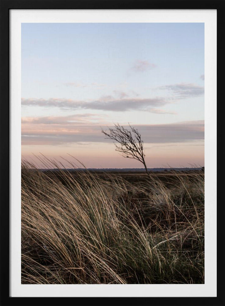 At the Coast 4 | Poster