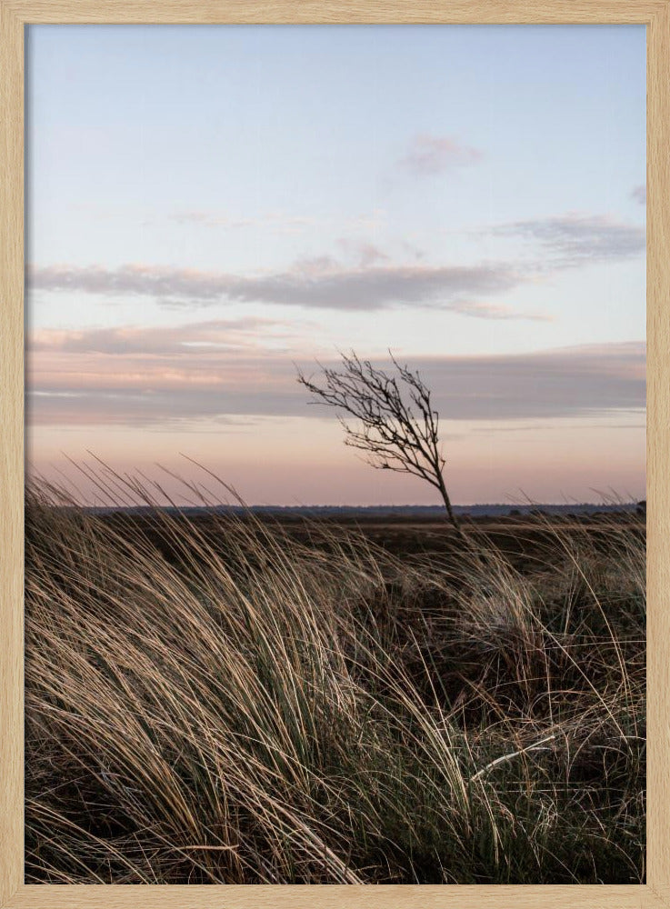 At the Coast 4 | Poster