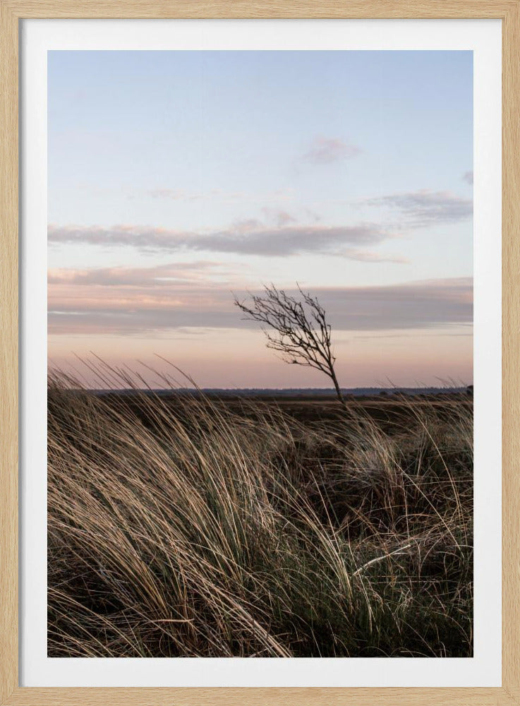 At the Coast 4 | Poster