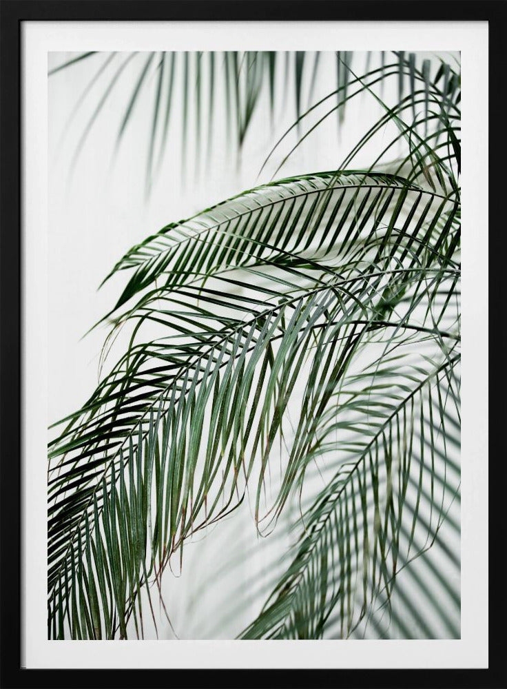 Palm Leaves 21 | Poster