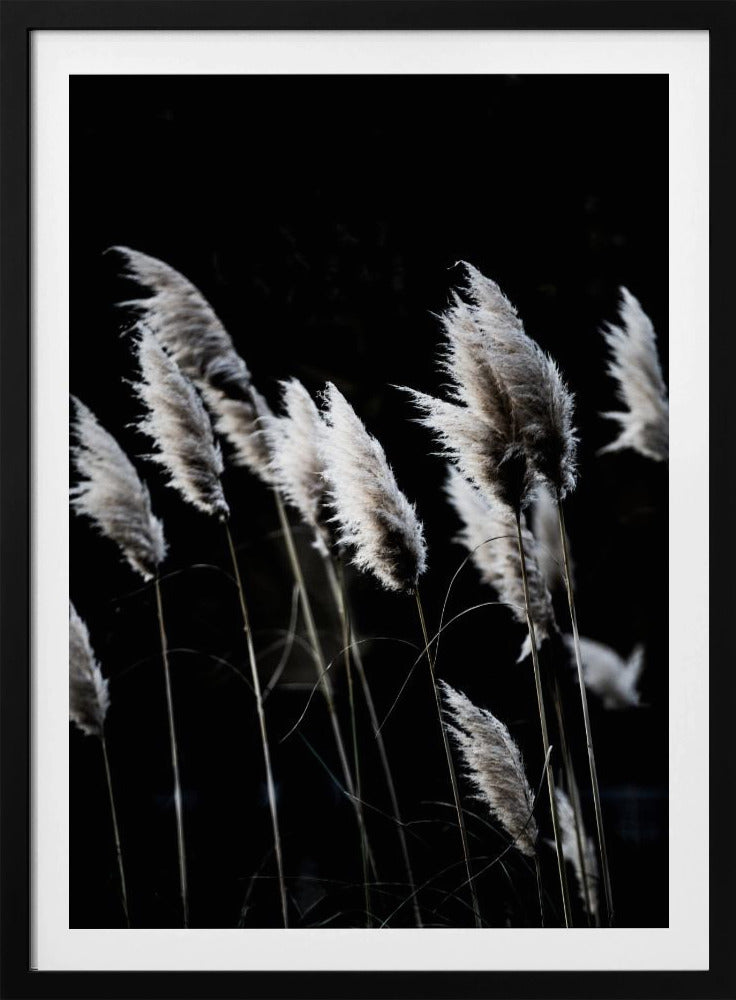 Gras 4 | Poster