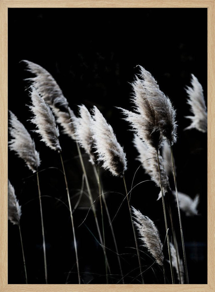 Grass 4 | Poster