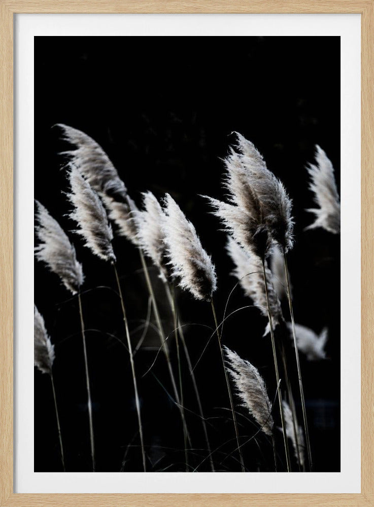 Grass 4 | Poster