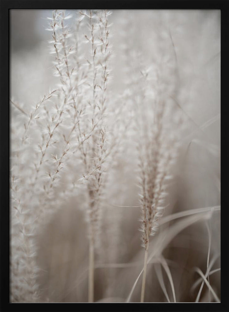 Gras 18 | Poster