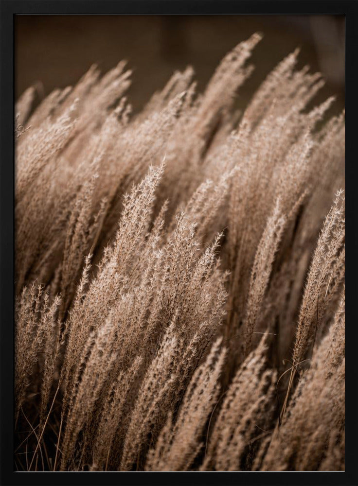 Grass 16 | Poster