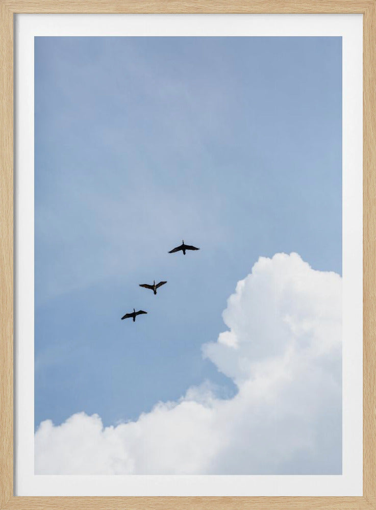 Vliegend naar huis | Poster