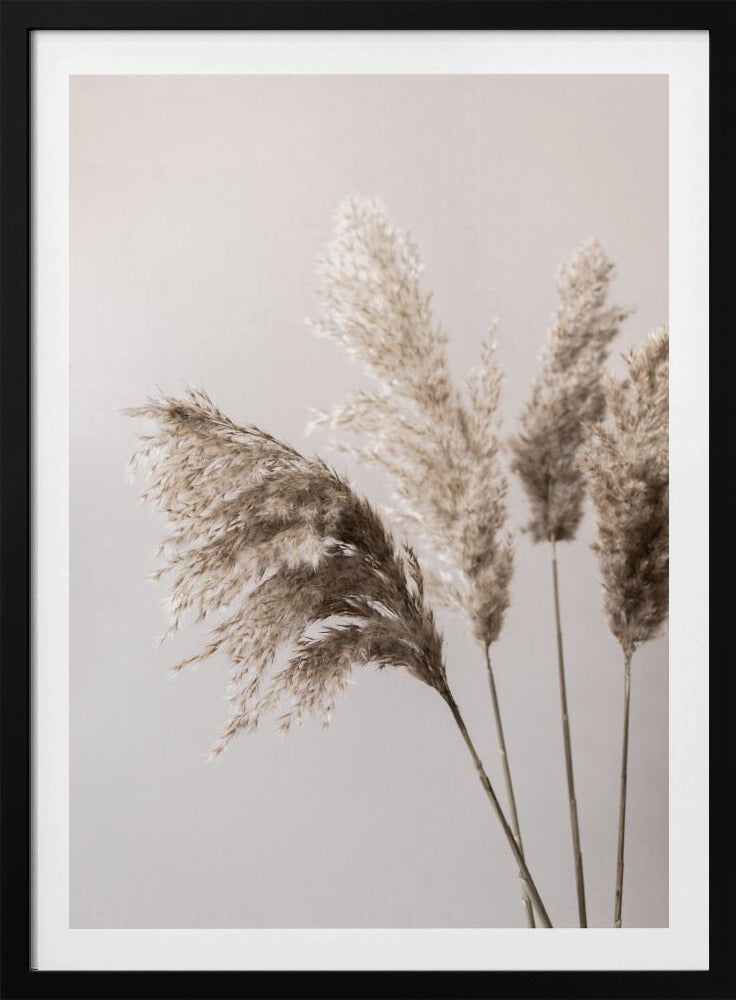 Grass 24X | Poster