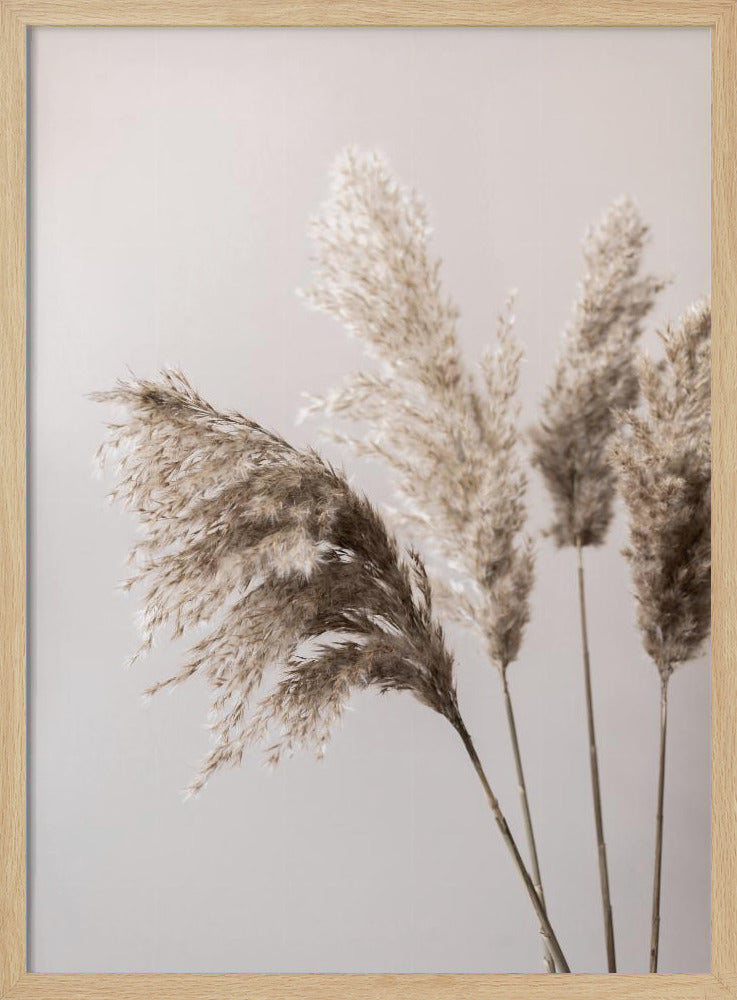 Grass 24X | Poster