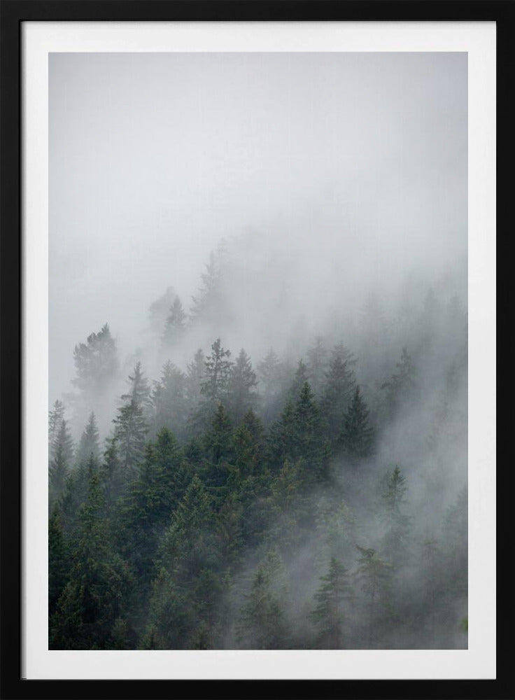 Mistige ochtend 2 | Poster