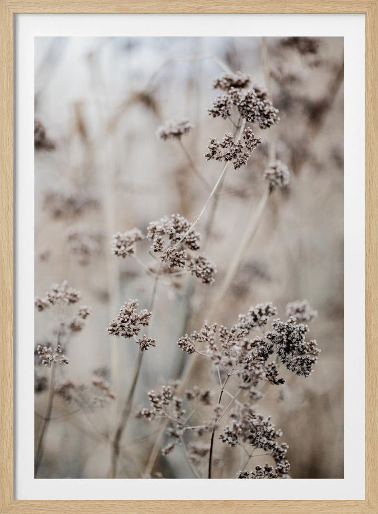 Unknown 8 | Poster