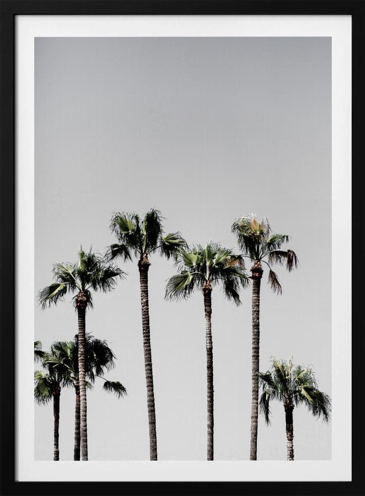 Palmbomen 5 | Poster