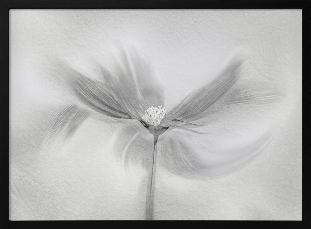 Dansende Kosmos | Poster