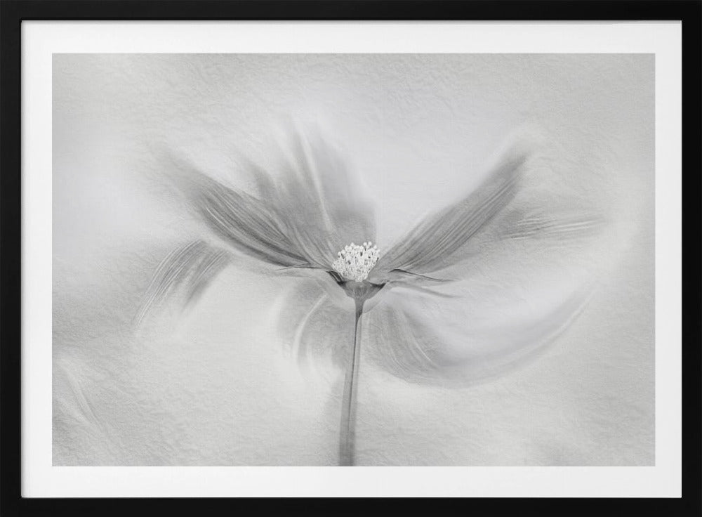 Dansende Kosmos | Poster