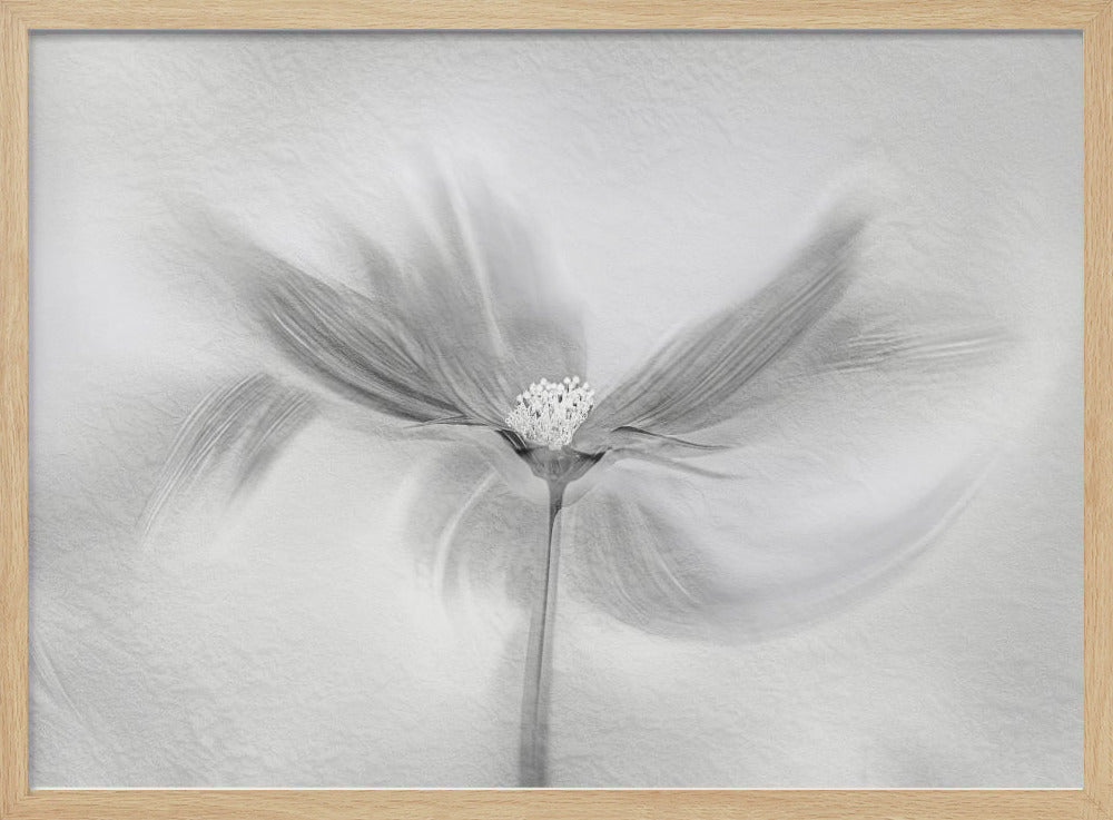 Dansende Kosmos | Poster