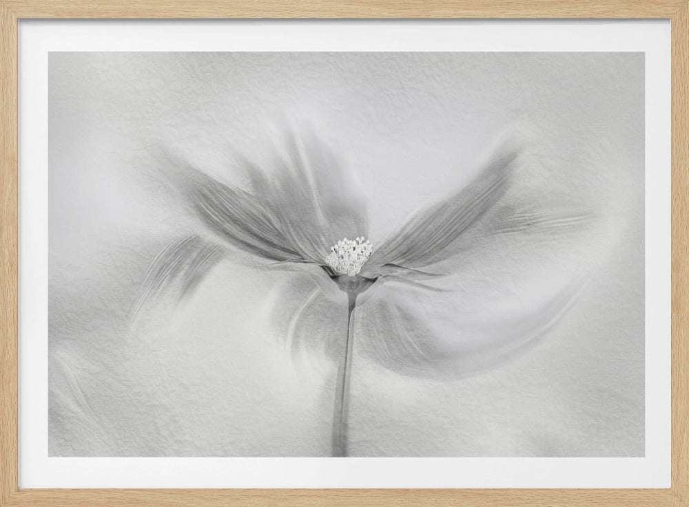 Dansende Kosmos | Poster