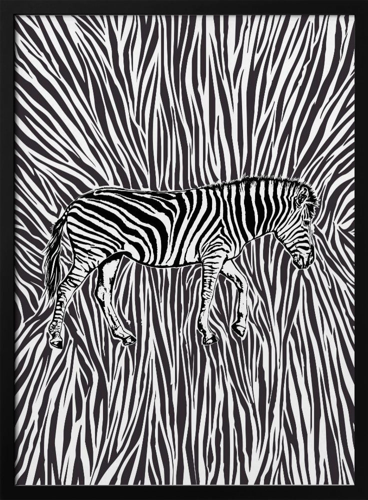 Afrikaanse zebra in opvallende camouflage | Poster