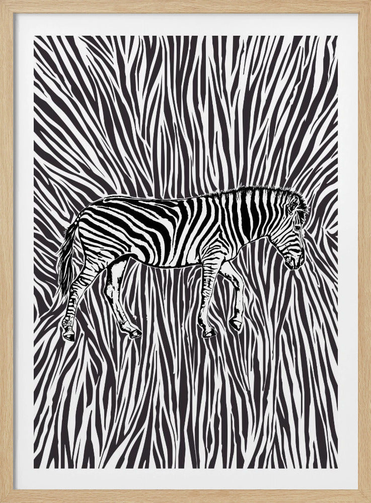 Afrikaanse zebra in opvallende camouflage | Poster