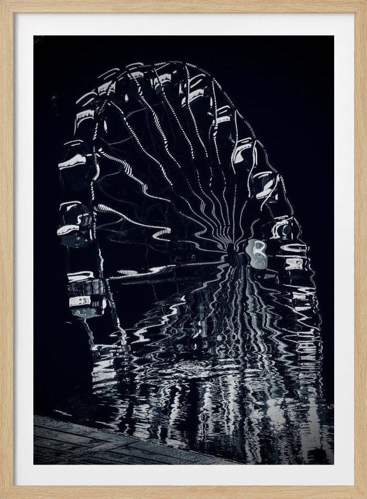 Spinnen | Poster