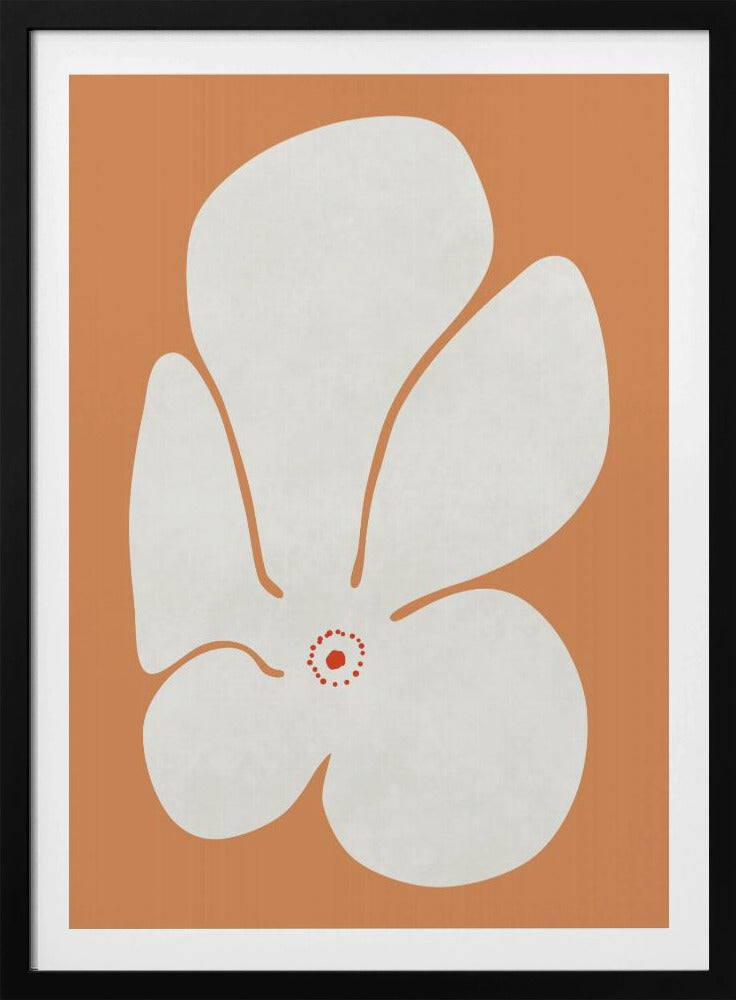 Witte Klaprozenbloem | Poster