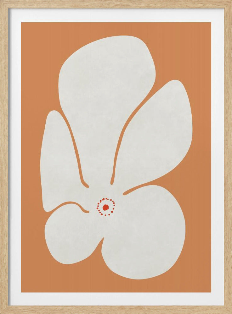 Witte Klaprozenbloem | Poster