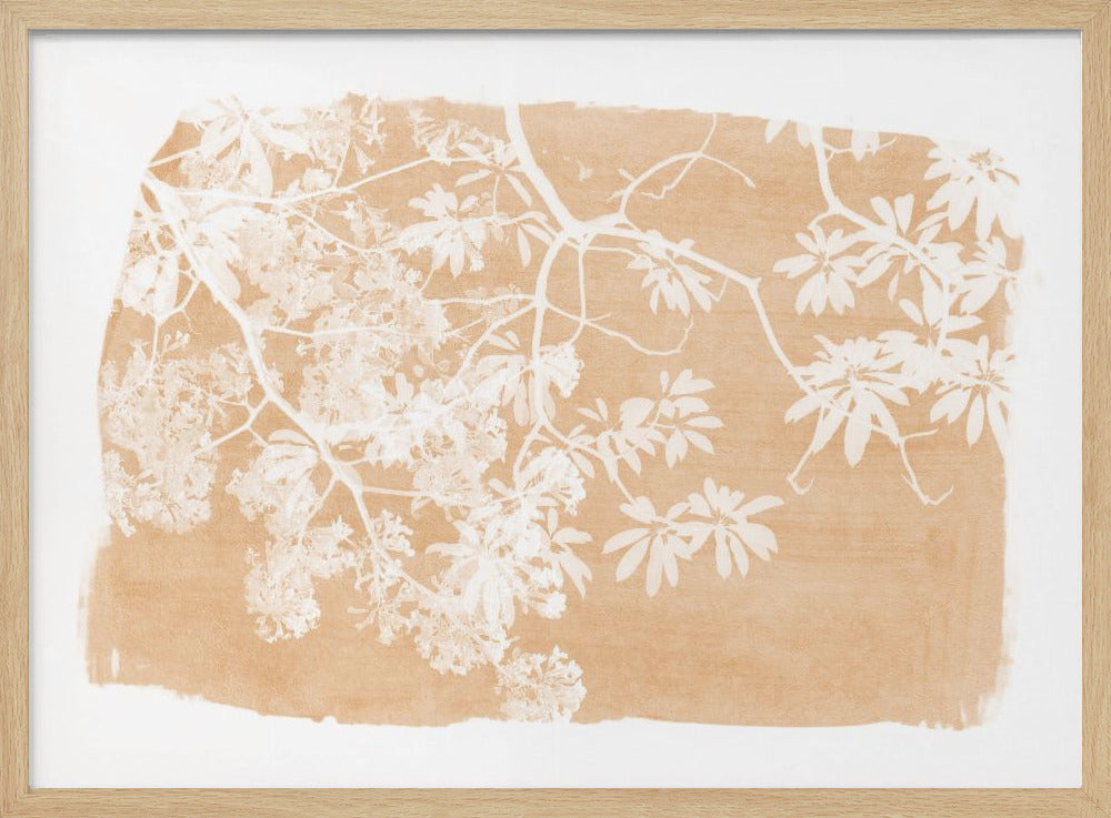 Silhouet van sinaasappelboomblad | Poster