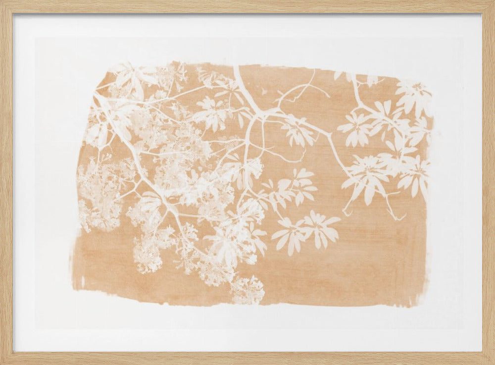 Silhouet van sinaasappelboomblad | Poster