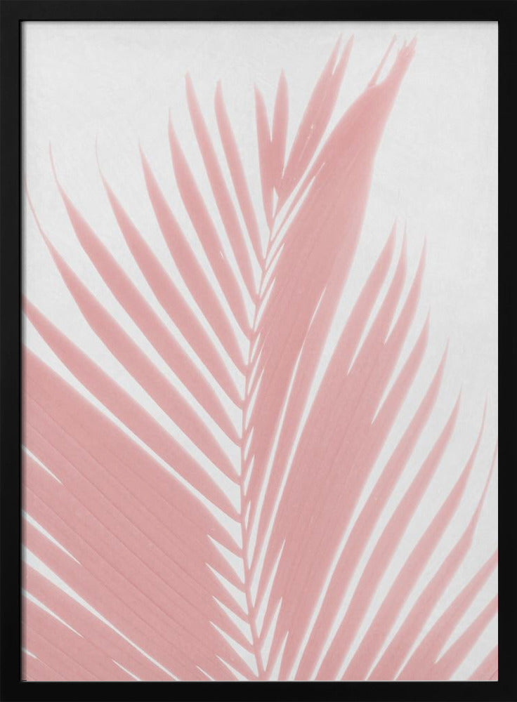Roze palmbladeren silhouet | Poster