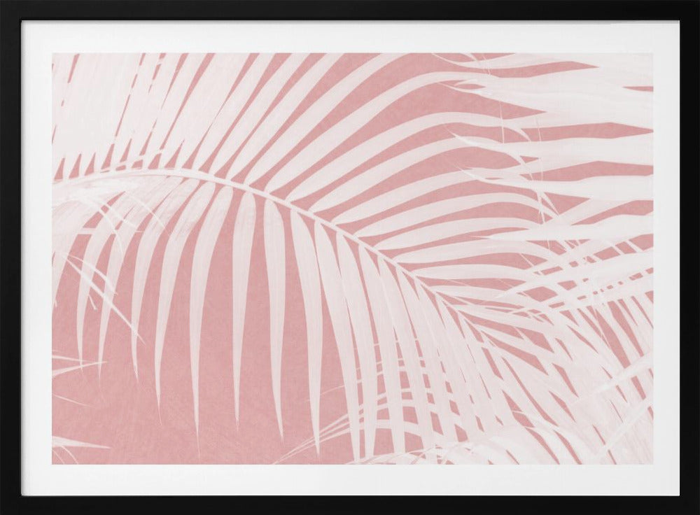 Palmbladeren op roze silhouet IV | Poster