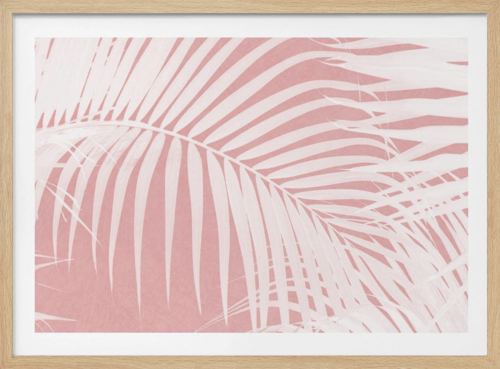 Palmbladeren op roze silhouet IV | Poster