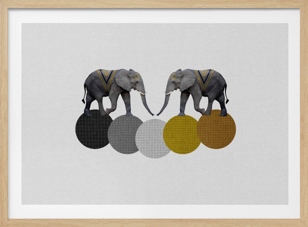 Stamolifanten | Poster