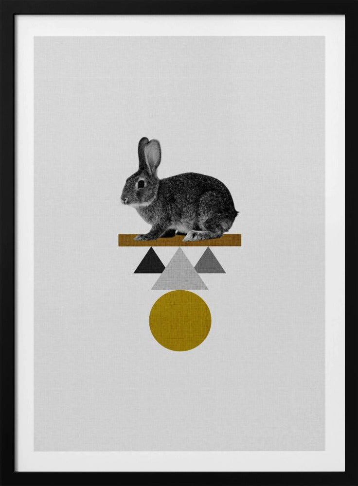 Stam Konijn | Poster
