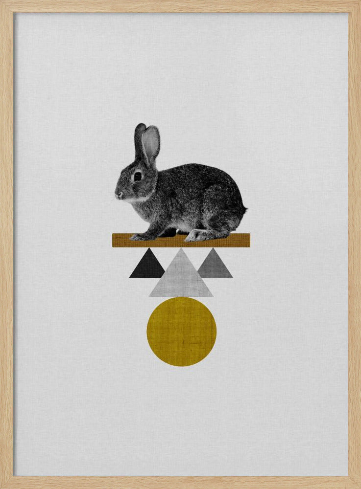 Stam Konijn | Poster