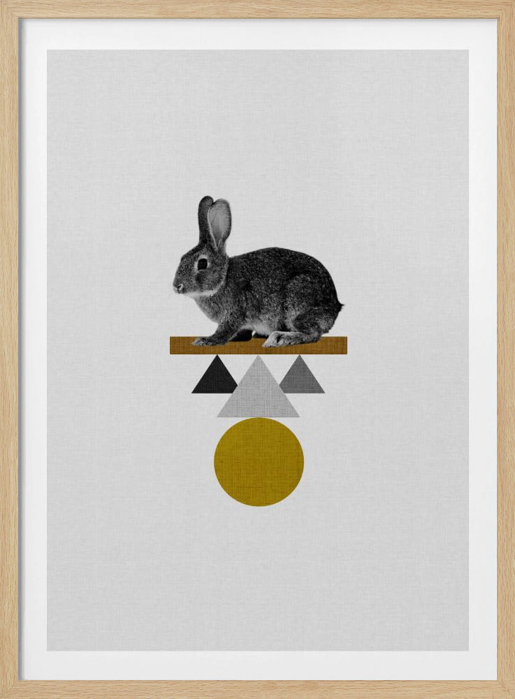 Stam Konijn | Poster